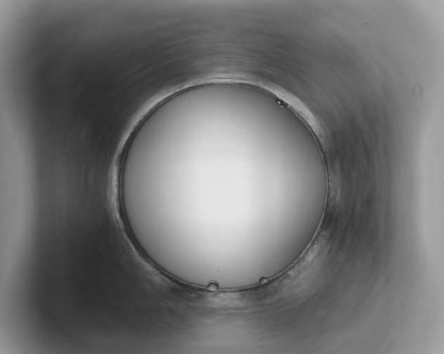 X0000101411006200807211051