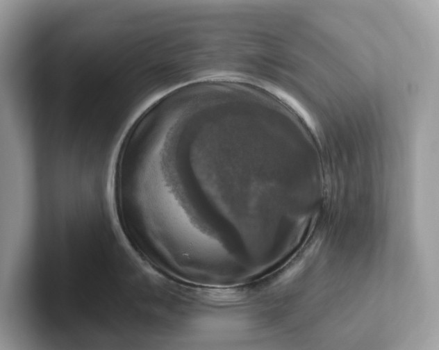 X0000101411007200807211051