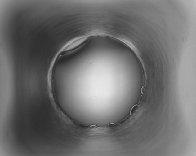 X0000101411008200807211051