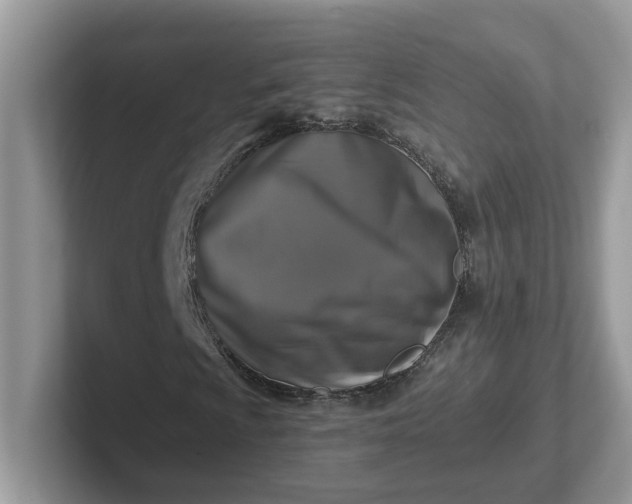 X0000101411009200807211051