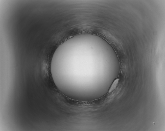 X0000101411010200807211051