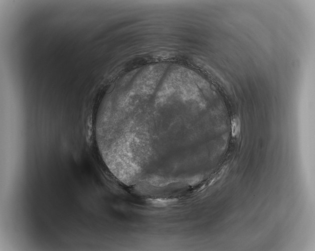 X0000101411011200807211051