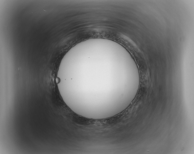 X0000101411013200807211051