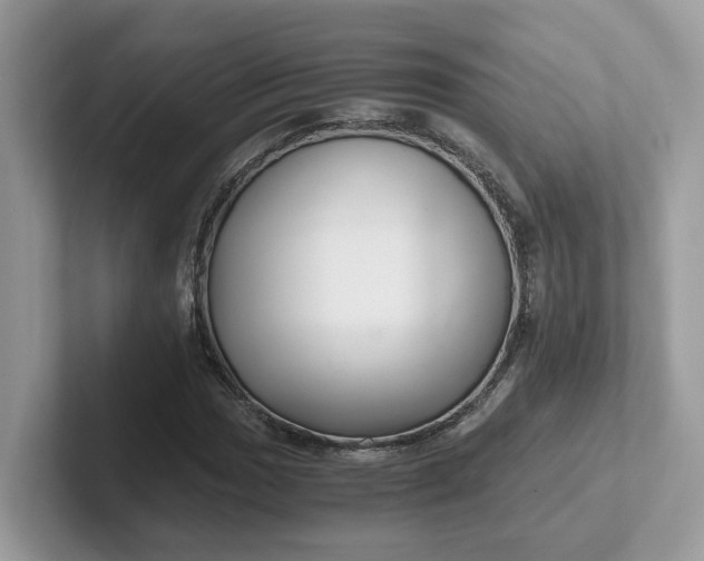 X0000101411017200807211051