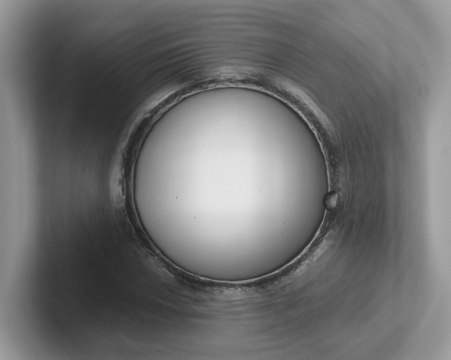 X0000101411018200807211051