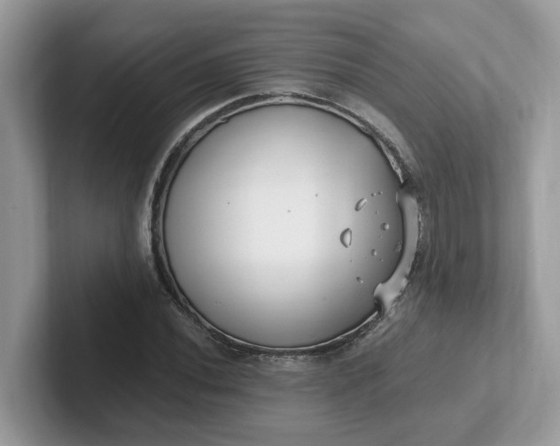 X0000101411020200807211051