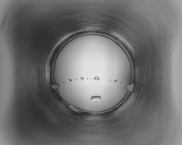 X0000101411021200807211051