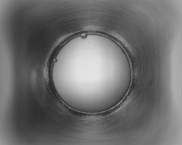 X0000101411022200807211051