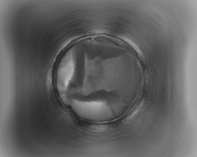 X0000101411023200807211051