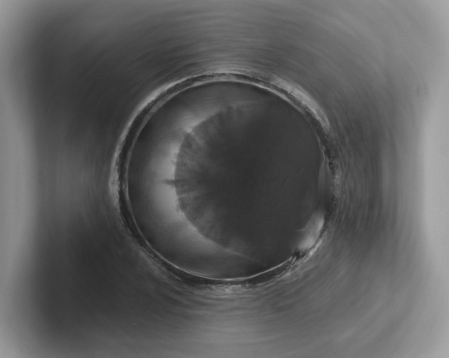 X0000101411024200807211051