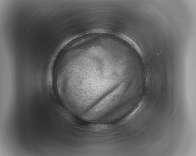 X0000101411027200807211051