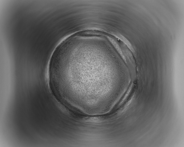 X0000101411028200807211051