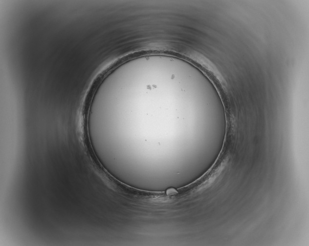 X0000101411029200807211051