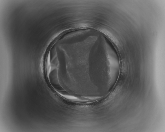 X0000101411031200807211051