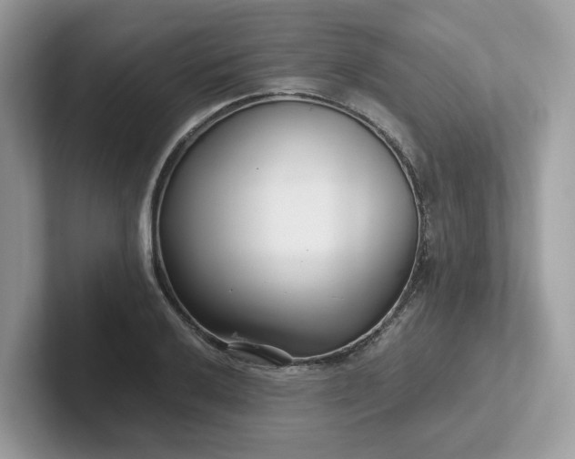 X0000101411032200807211051