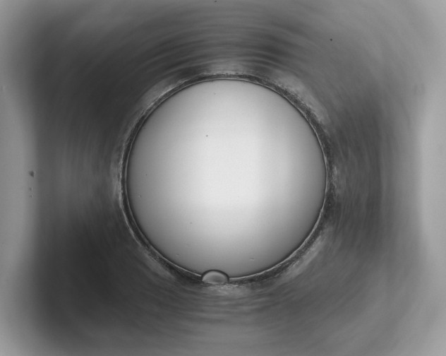 X0000101411033200807211051