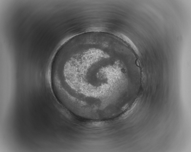 X0000101411035200807211051