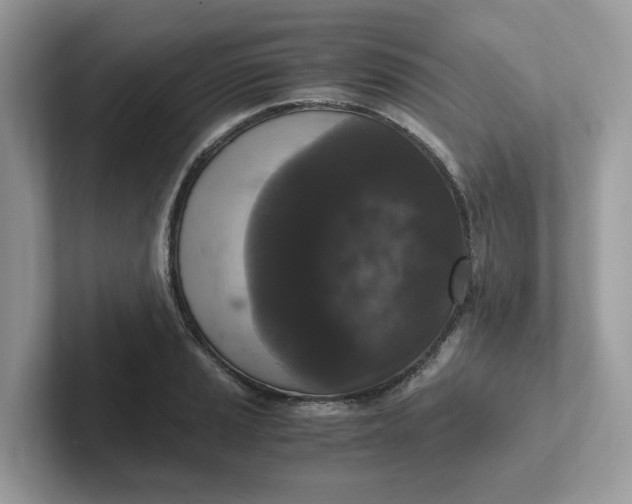 X0000101411037200807211051