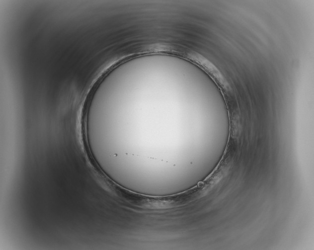 X0000101411039200807211051