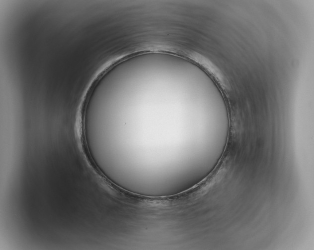 X0000101411040200807211051