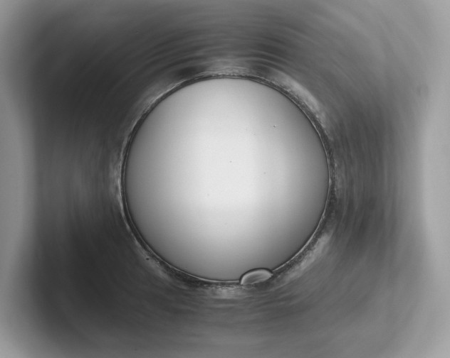 X0000101411041200807211051