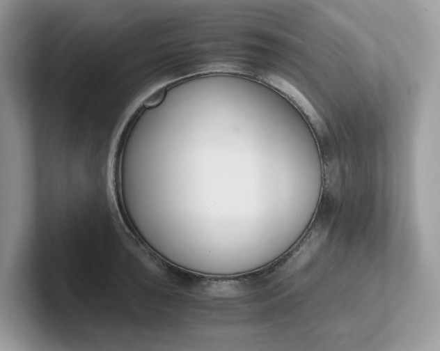 X0000101411043200807211051