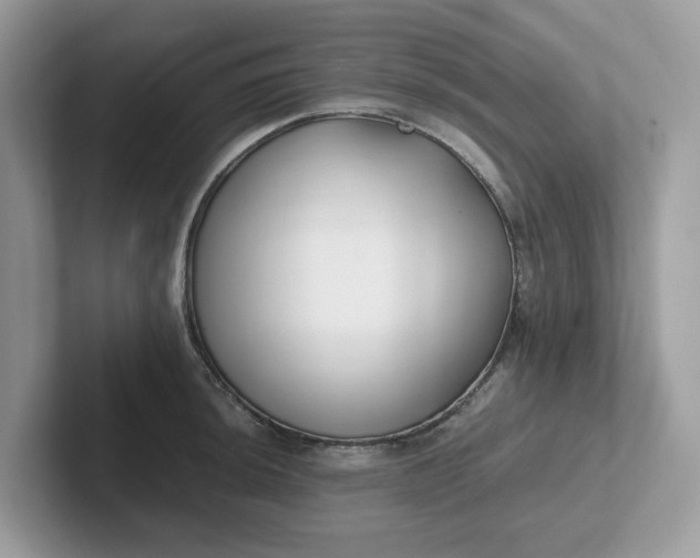 X0000101411044200807211051