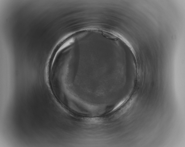 X0000101411045200807211051