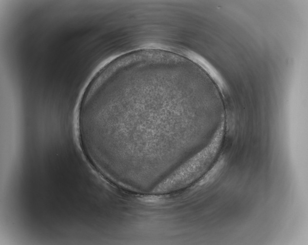 X0000101411048200807211051