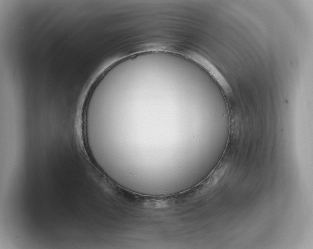 X0000101411051200807211051