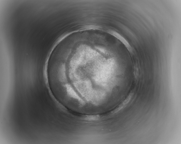 X0000101411055200807211051