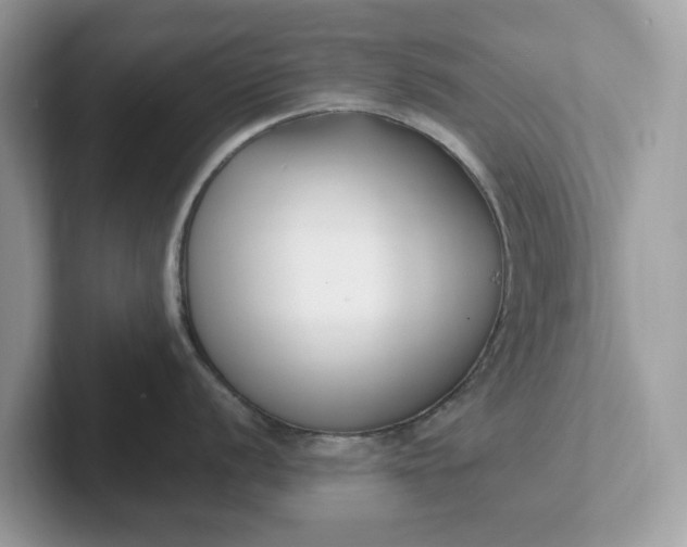 X0000101411056200807211051