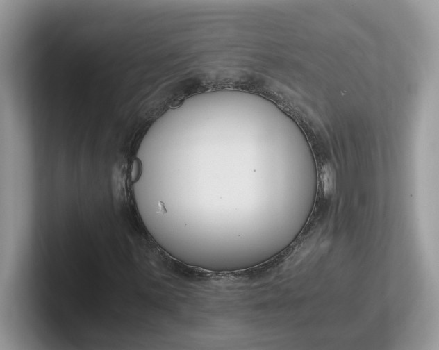 X0000101411059200807211051