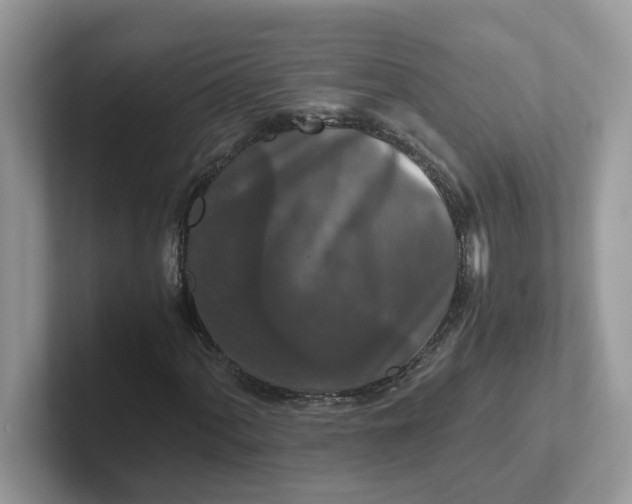 X0000101411060200807211051