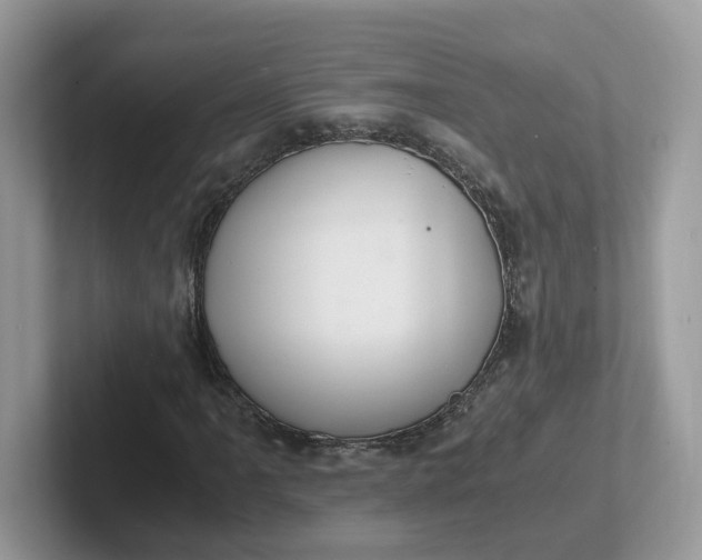 X0000101411061200807211051