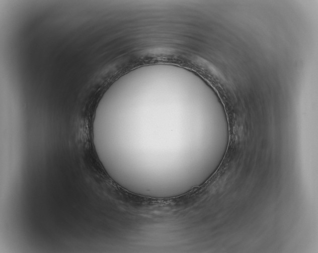 X0000101411062200807211051