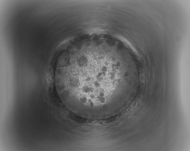 X0000101411063200807211051