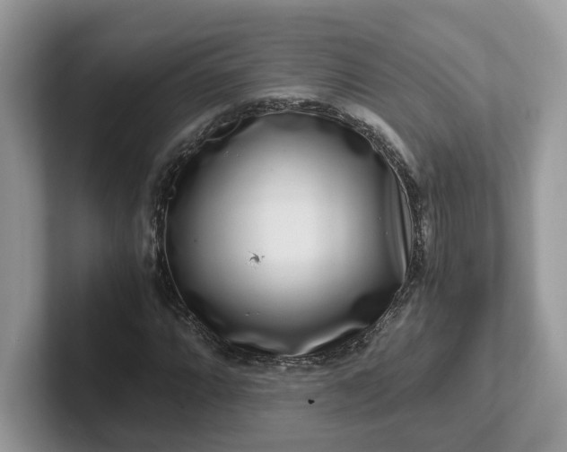 X0000101411064200807211051