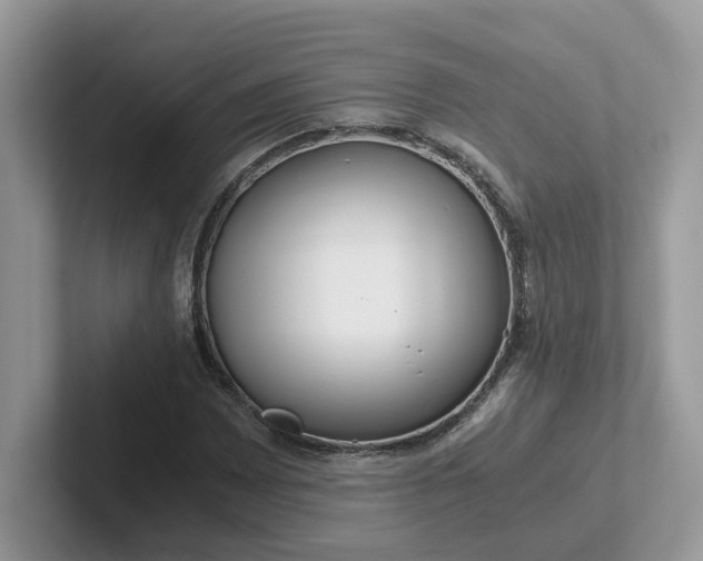 X0000101411065200807211051