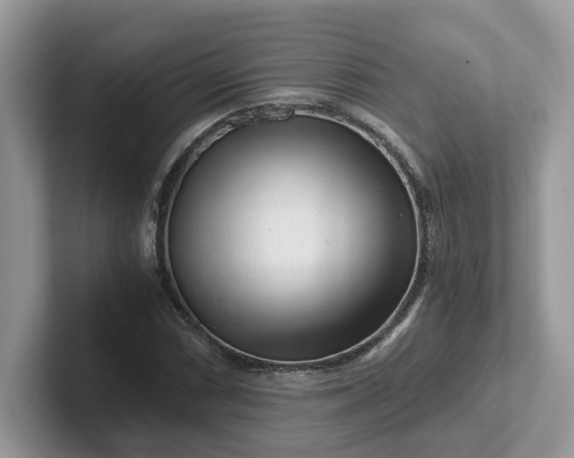 X0000101411066200807211050