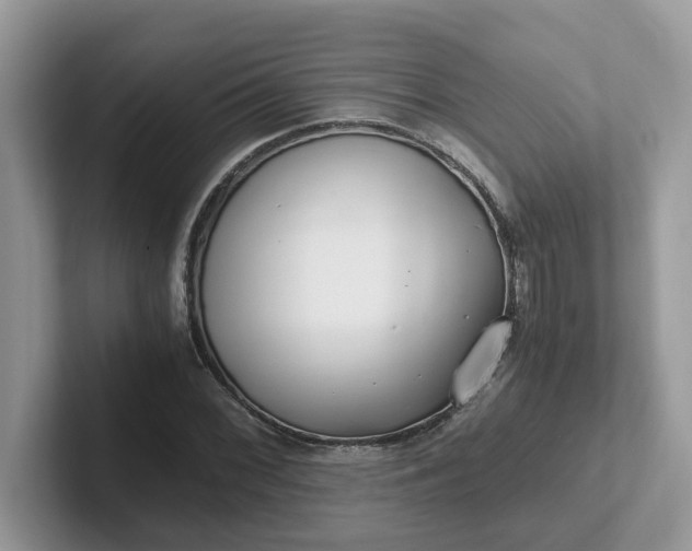 X0000101411068200807211050