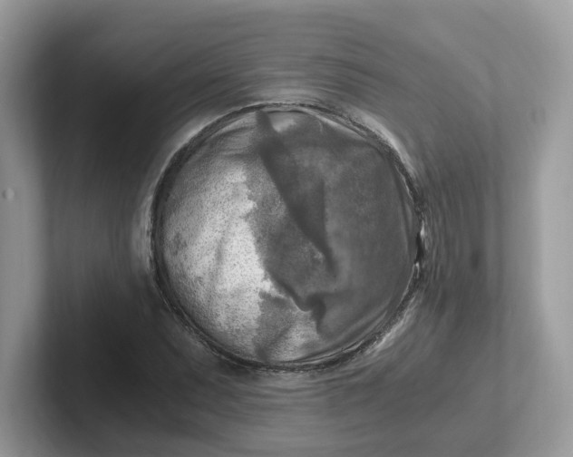 X0000101411071200807211050