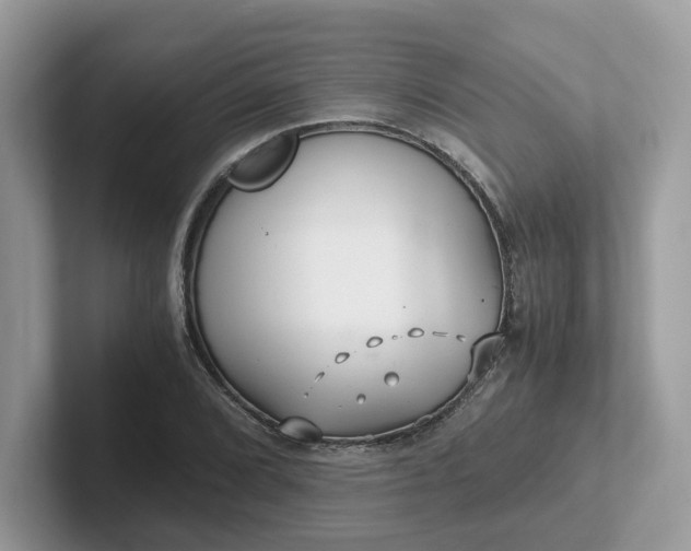 X0000101411072200807211050