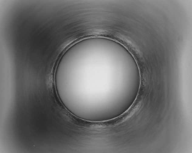 X0000101411073200807211050