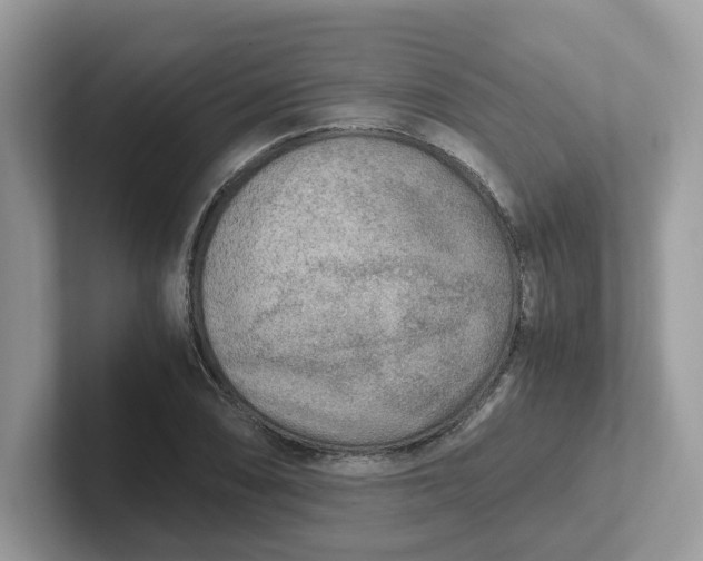 X0000101411074200807211050