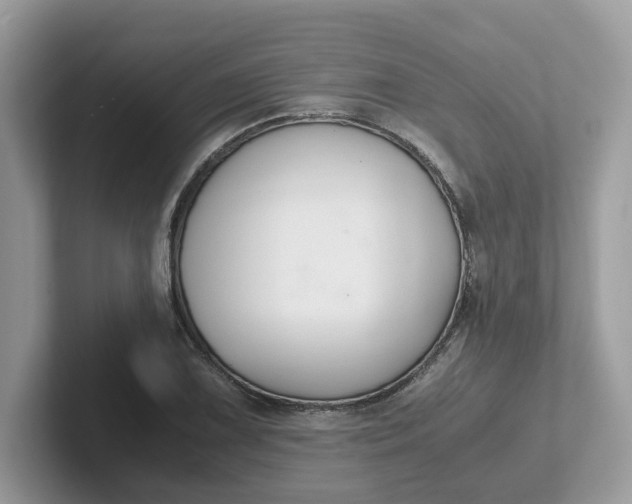 X0000101411075200807211050