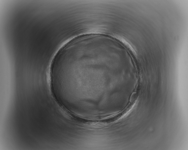 X0000101411077200807211050