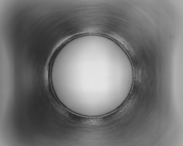 X0000101411078200807211050