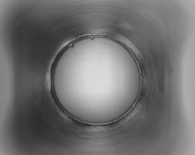 X0000101411079200807211050