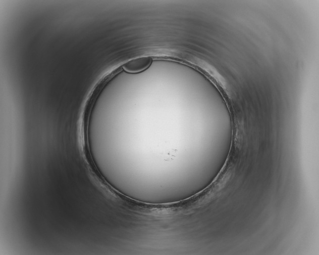 X0000101411080200807211050